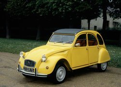 Żółty, Citroen 2CV Special, Zabytkowy