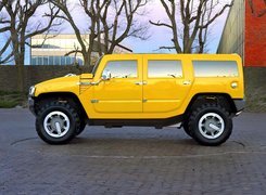 Żółty, Hummer H3