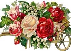 Bukiet, Różnych, Kwiatów