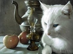 Kot, Biały, Jabłko, Dzbanek, Lampa