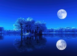 Noc, Księżyc, Woda, Drzewa
