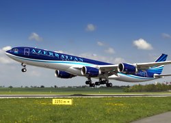 Samolot, Airbus A340, Linia lotnicza, Azerbaijan Airlines