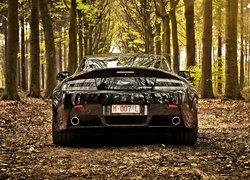 Aston Martin V8 Vantage Roadster, 2012, Las, Drzewa