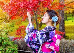 Azjatka, Kobieta, Kimono, Park, Drzewa, Jesień