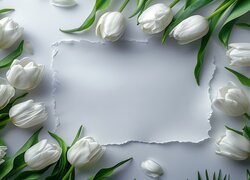 Białe tulipany wokół kartki