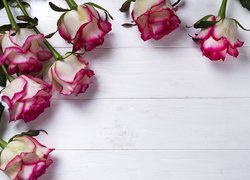 Kwiaty, Róże, Deski