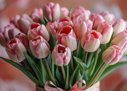 Biało-różowe tulipany w bukiecie
