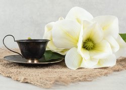 Biały kwiat obok filiżanki z kawą