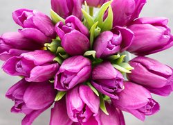 Kwiaty, Bukiet, Ciemnoróżowe, Tulipany