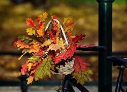 Bukiet jesiennych liści w koszyku na rowerze