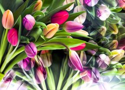 Bukiet kolorowych tulipanów w grafice