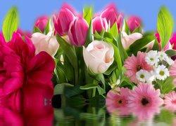 Kwiaty, Róże, Tulipany, Gerbery, Piwonia, Grafika