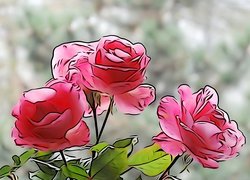 Róże, Bukiet, Grafika 2D