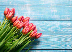 Kwiaty, Bukiet, Tulipany, Deski, Niebieskie