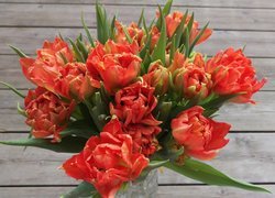 Bukiet rozkwitających tulipanów