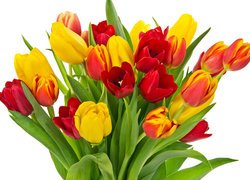 Kwiaty, Bukiet, Kolorowe, Tulipany, Białe tło