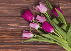 Bukiet z siedmiu tulipanów