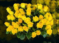 Kwiaty, Żółte, Róże, Bukiet, Grafika