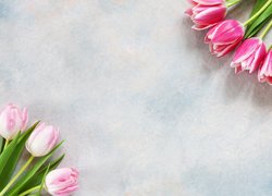 Jasnoróżowe, Biało-różowe, Tulipany