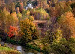 Cerkiew pomiędzy drzewami jesienią