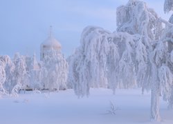 Cerkiew w Białej Górze wśród ośnieżonych drzew