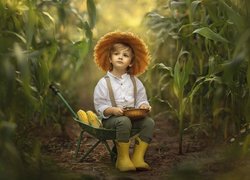 Chłopiec siedzący na taczce na polu kukurydzy