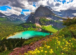 Góry, Jezioro, Grinnell Lake, Kwiaty, Drzewa, Las, Chmury, Park Narodowy Glacier, Montana, Stany Zjednoczone