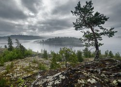 Jezioro Ładoga, Wysepka, Drzewa, Mgła, Chmury, Karelia, Rosja