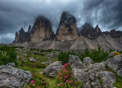 Góry, Dolomity, Szczyty, Tre Cime di Lavaredo, Chmury, Skały, Krzewy, Roślinność, Włochy