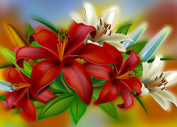 Kwiaty, Czerwone, Białe, Lilie, 2D