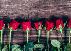 Czerwone, Kwiaty, Róże, Deski