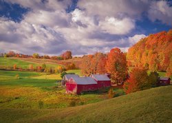 Czerwone stodoły na farmie Jenne Farm w stanie Vermont