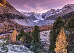 Góry, Alpy, Lodowiec Morteratsch, Kamienie, Drzewa, Jesień, Dolina Morteratsch, Kanton Gryzonia, Szwajcaria