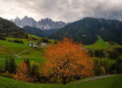 Góry, Dolomity, Las, Drzewa, Domy, Kościół, Wieś, Santa Maddalena, Dolina Val di Funes, Włochy, Chmury, Jesień