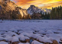 Stany Zjednoczone, Kalifornia, Park Narodowy Yosemite, Góry, Sierra Nevada, Drzewa, Sucha, Trawa, Śnieg, Zima, Dolina Yosemite