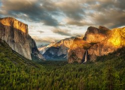Park Narodowy Yosemite, Dolina Yosemite Valley, Drzewa, Lasy, Wodospad, Stan Kalifornia, Stany Zjednoczone