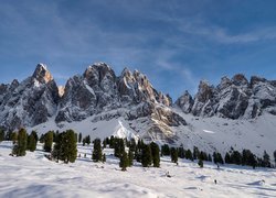 Włochy, Góry, Dolomity, Drzewa, Zima