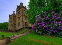 Dom Gawthorpe Hall i różanecznik obok schodów w Anglii