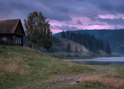 Dom i brzoza nad rzeką Kyn w Rosji