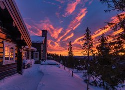 Dom i drzewa na tle zachodu słońca w zimowym krajobrazie