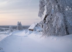Dom i drzewa w śniegu