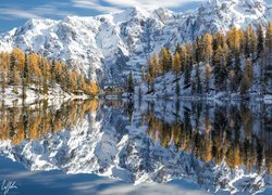 Jezioro, Lake Malghette, Góry, Drzewa, Dom, Odbicie, Zima, Włochy