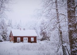 Dom w zaśnieżonym lesie