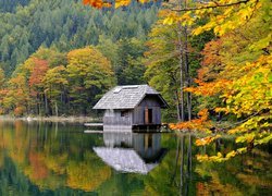 Domek w lesie nad jeziorem