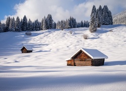 Domy i drzewa na zaśnieżonym wzgórzu