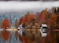 Domy pod jesiennymi drzewami na brzegu jeziora