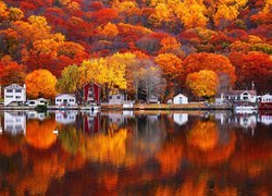 Domy pod kolorowymi jesiennymi drzewami nad jeziorem