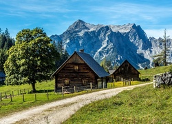 Austria, Styria, Gmina Johnsbach, Góry, Szczyt Tamischbachturm, Domy, Droga, Drzewa