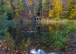 Drewniana altanka na brzegu jeziora w lesie