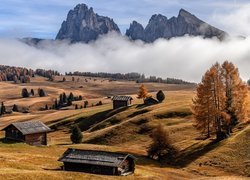 Włochy, Płaskowyż Seiser Alm, Dolina Val Gardena, Góry Sassolungo, Dolomity, Domy, Drzewa, Mgła, Jesień